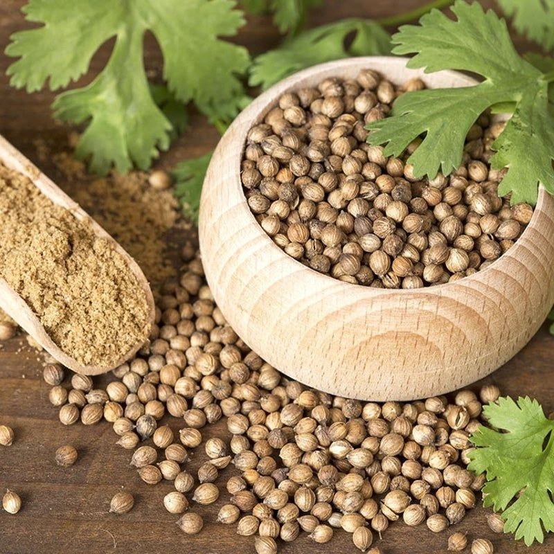 Coriander Powder